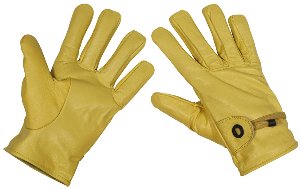 Gloves 2407
